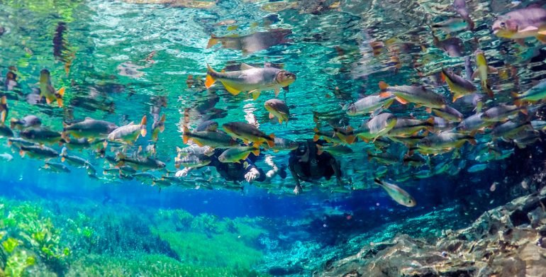 Discover the overwhelming natural spectacle